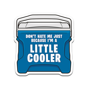 Little Cooler Don't Hate Me Sticker Decal