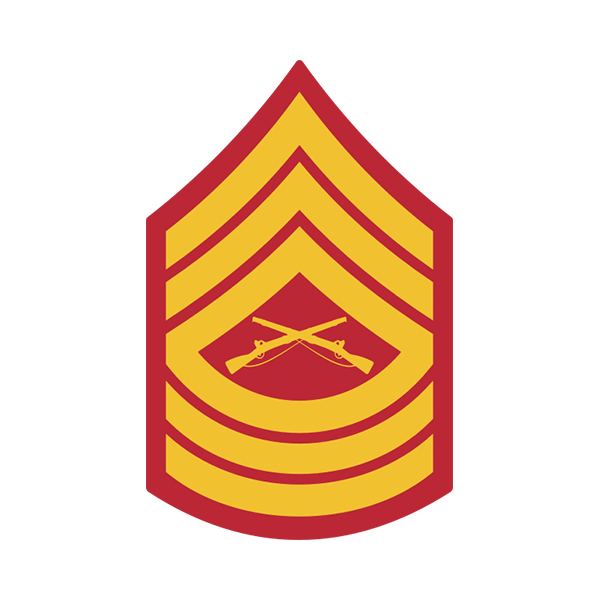 Marine Corps USMC Chevron Gold MSGT Master Sergeant E8 Male Pair | mail ...